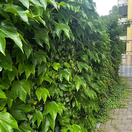 Moderne, Helle Ostviertel-flat4, Esskueche All-in5g Appartement Gera